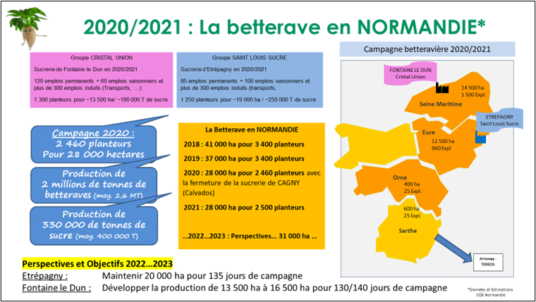 La betterave en Normandie-20-21