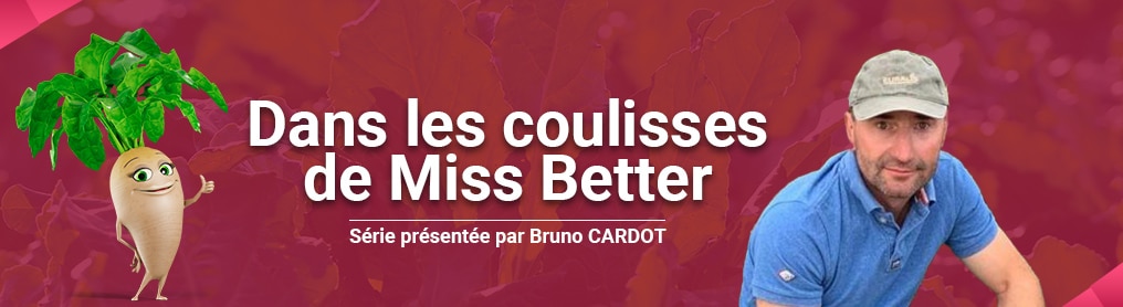 Dans les coulisses de Miss Better - Bruno Cardot